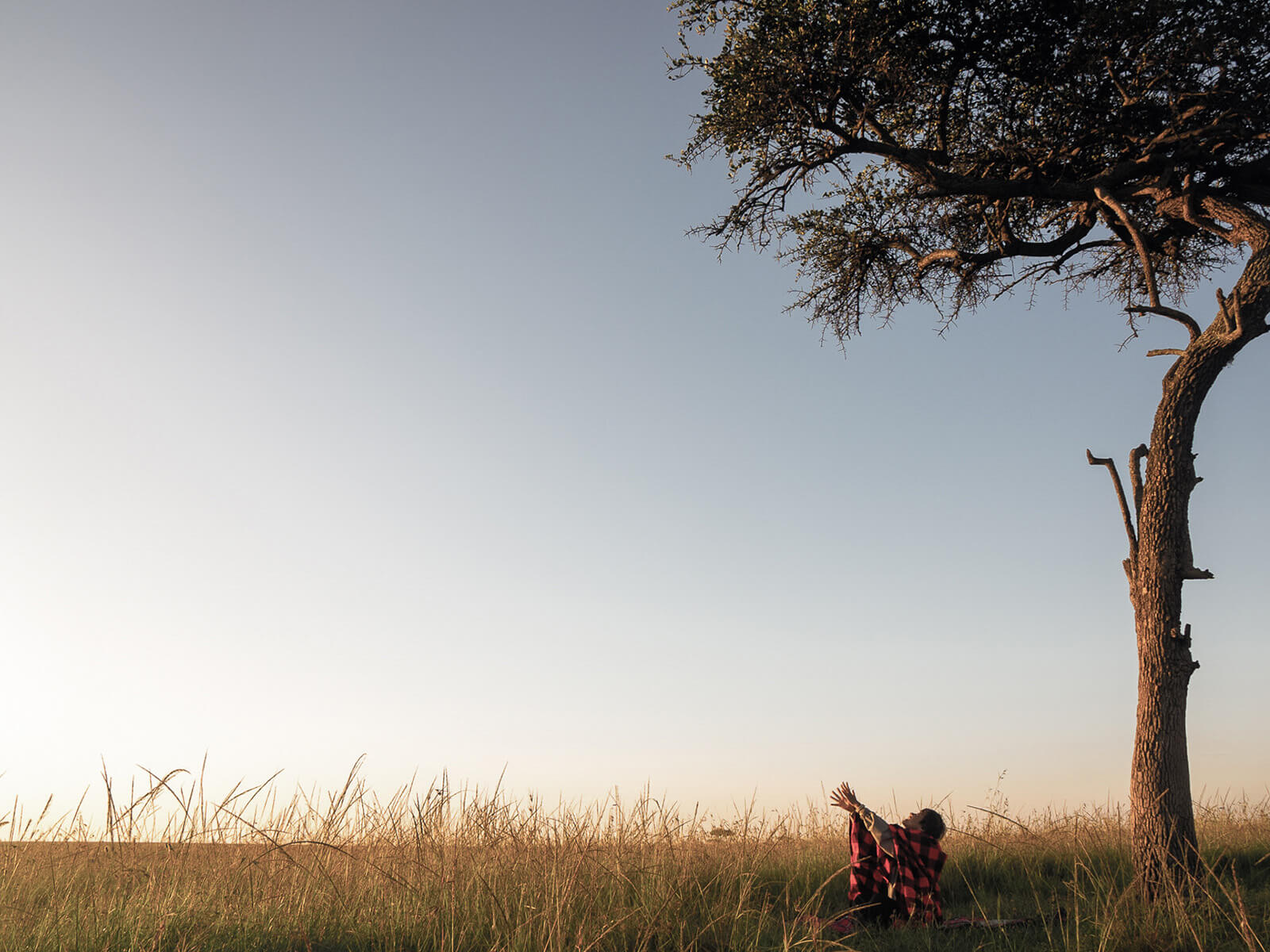 Wellness & Relaxation (Spa, Yoga)